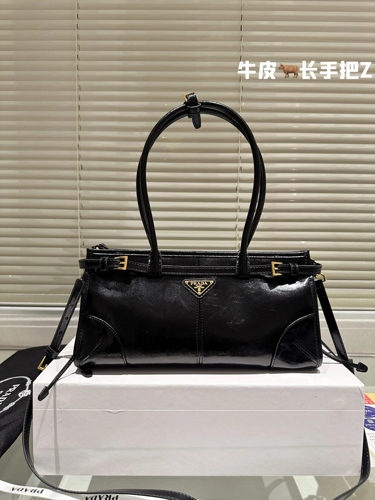 Prada Bag