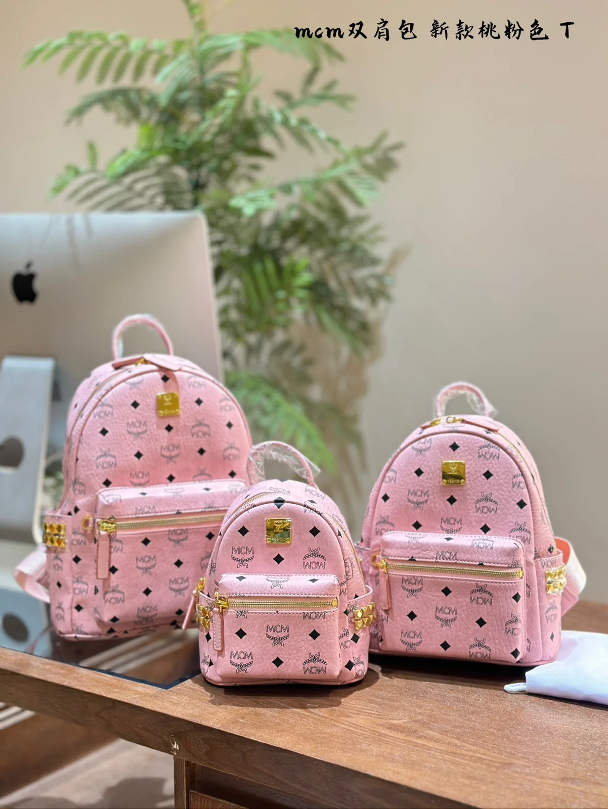 MCM Backpack