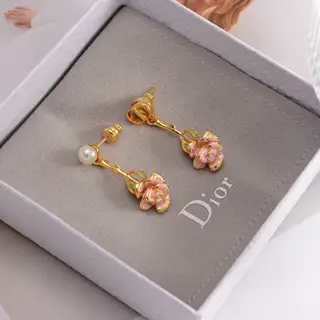 DIOR earrings The same brass material as the counter