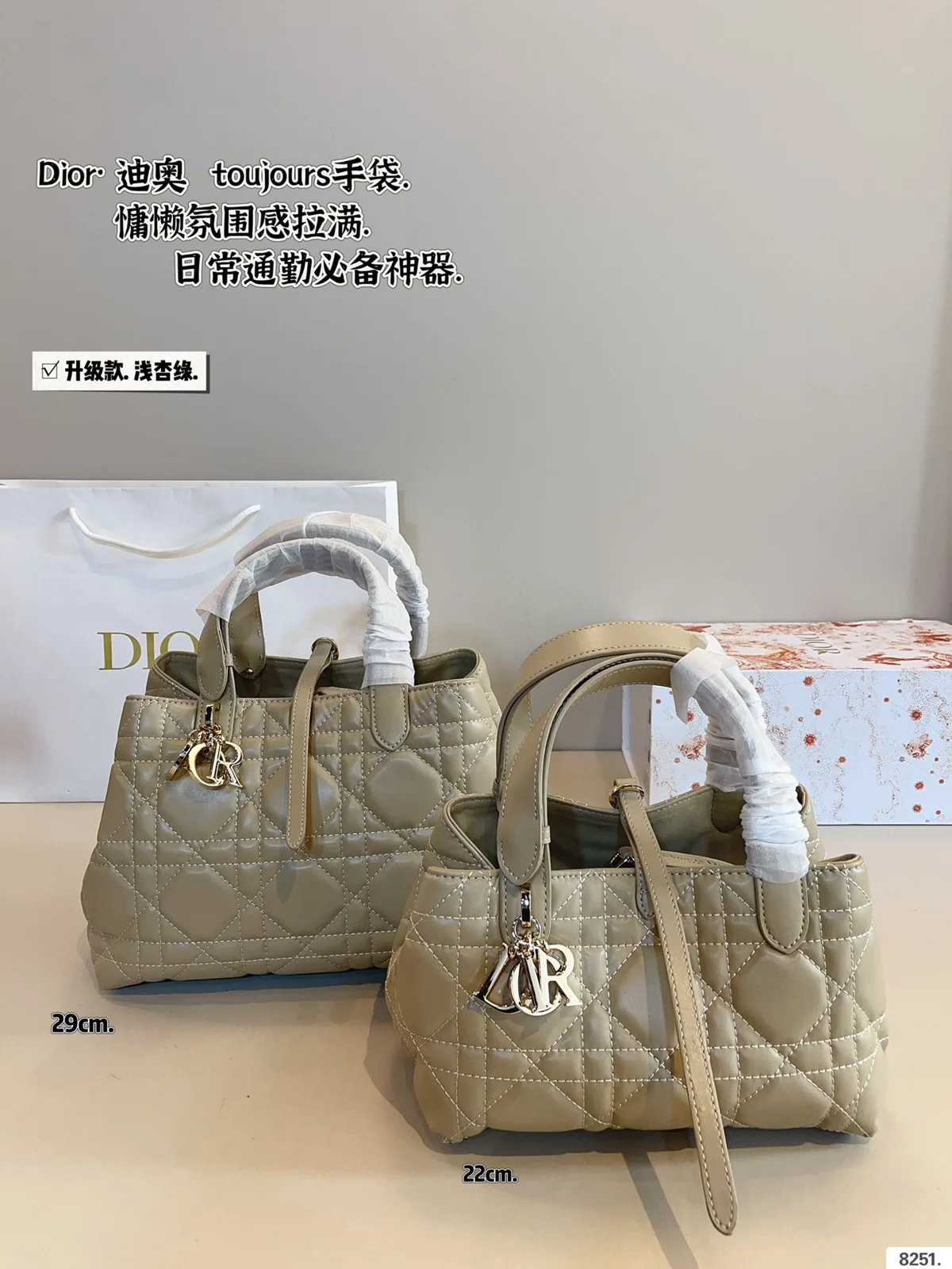 Dior Bag