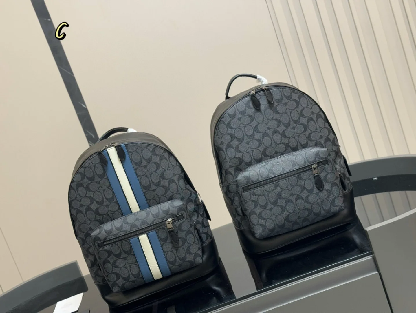 COACH Backpack