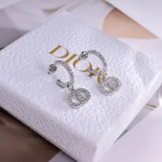 Dior new style Dior new CD earrings loved by top brands. The metal texture counterattack