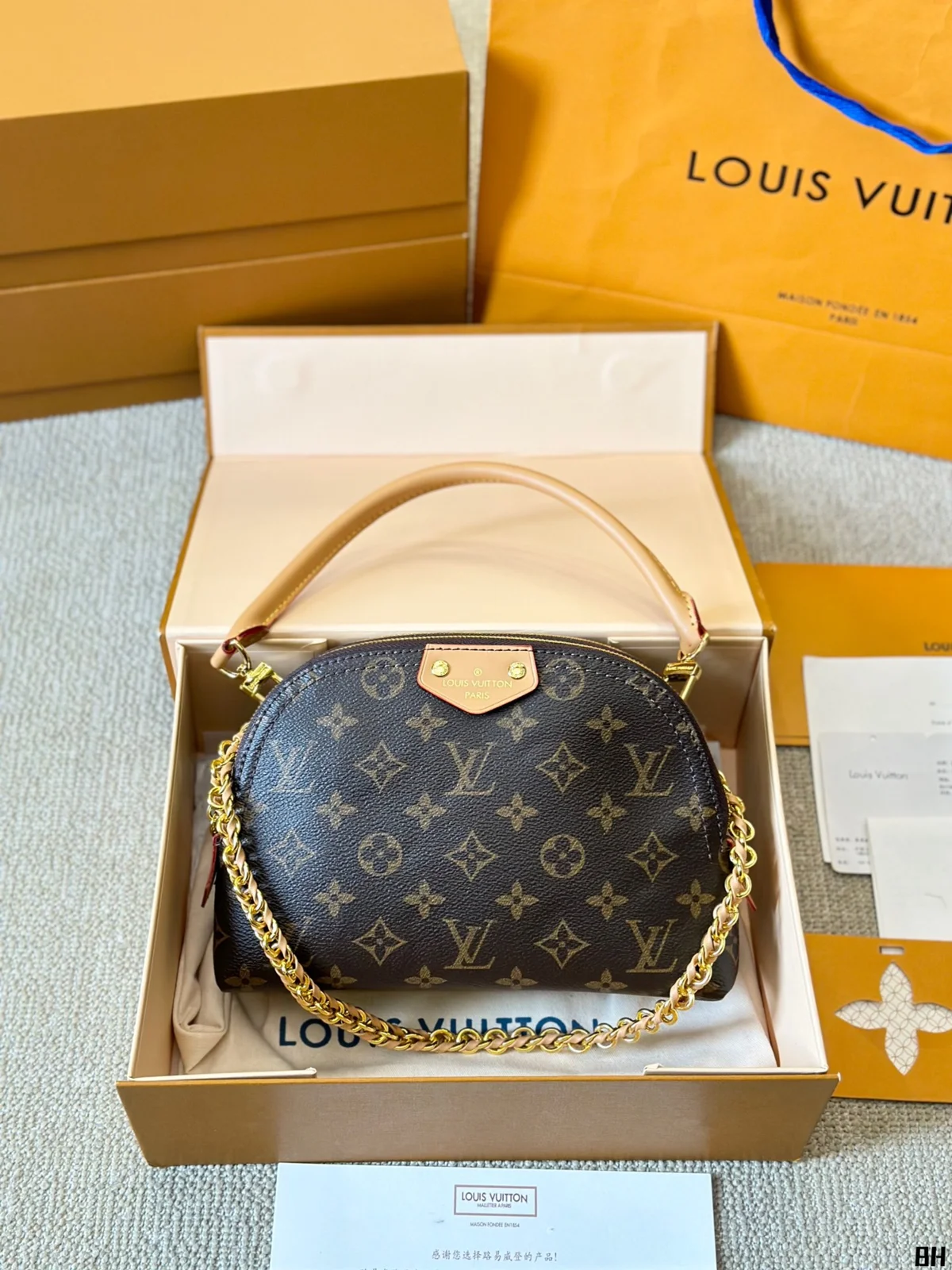 Louis Vuitton Bag