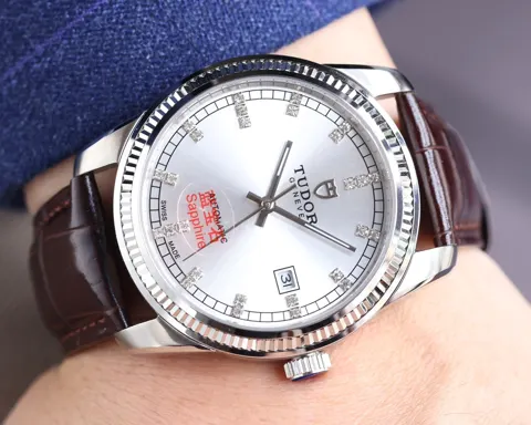 Tudor Watch