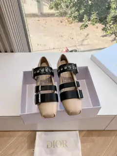 Dior 2025 early spring new loafers