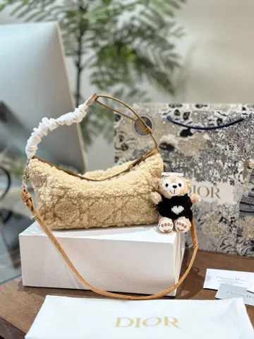 Dior Bag