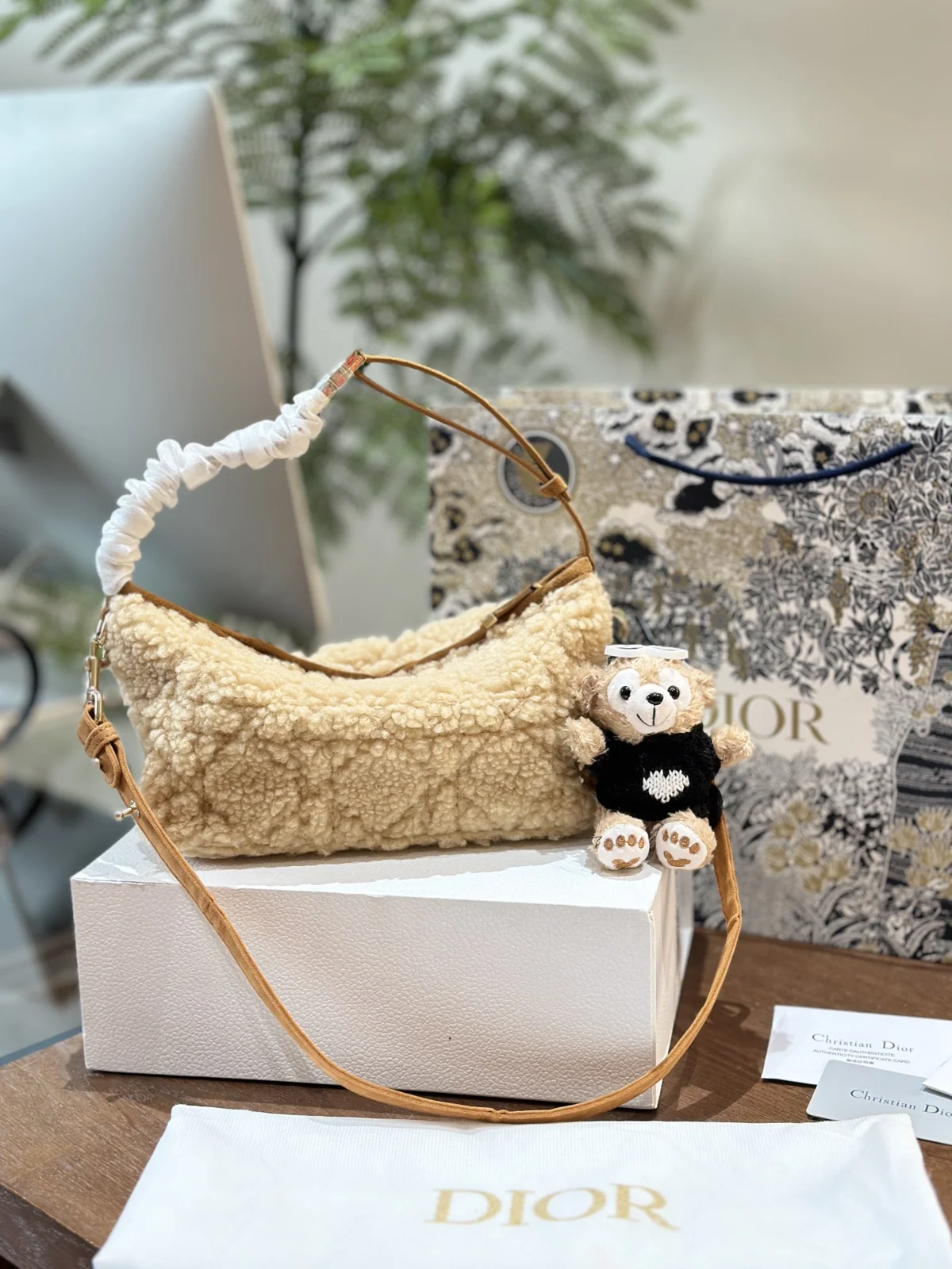 Dior Bag