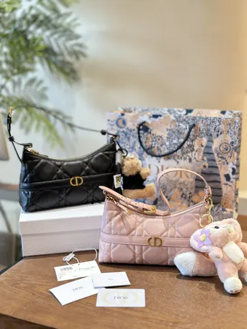 Dior Hobo
