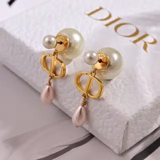 Dior new style Dior new letter earrings loved by top brands. The metal texture