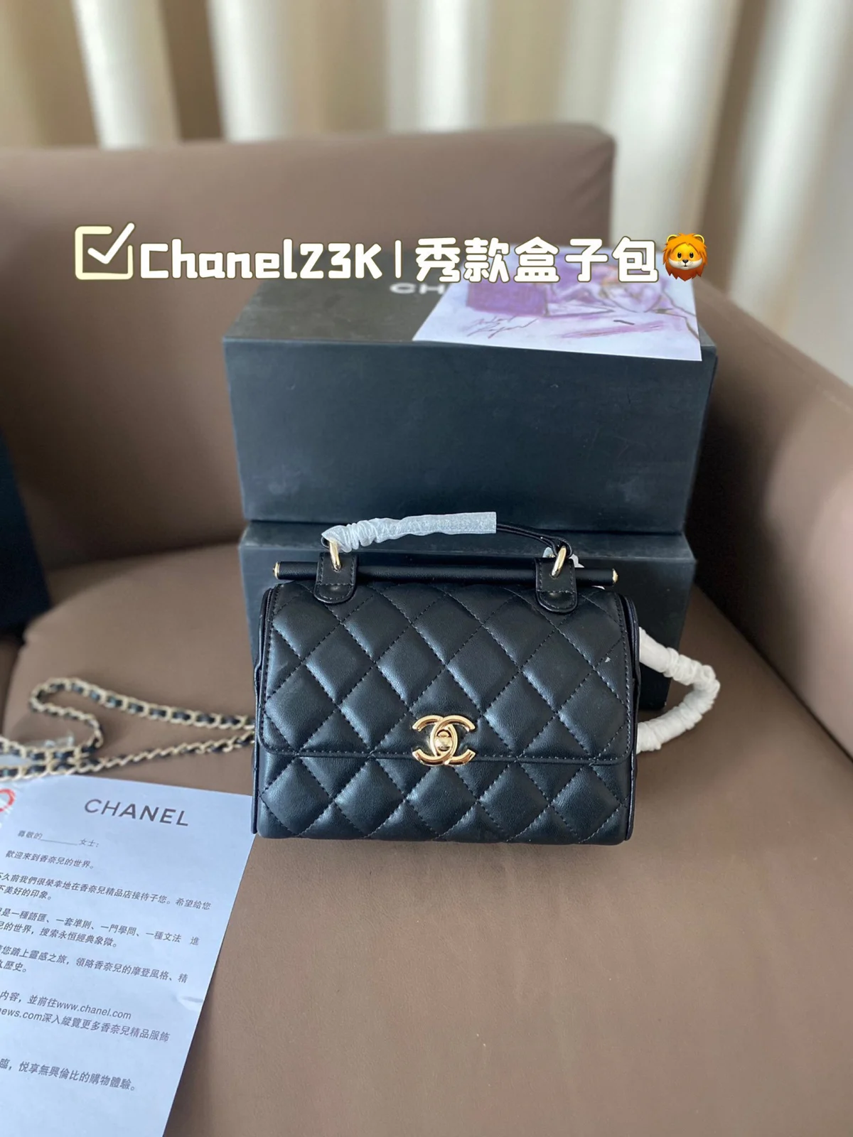 Chanel Bag