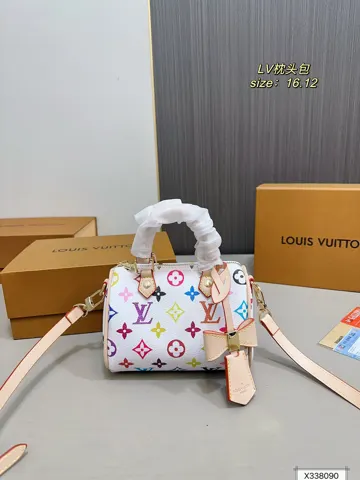 Louis Vuitton Bag