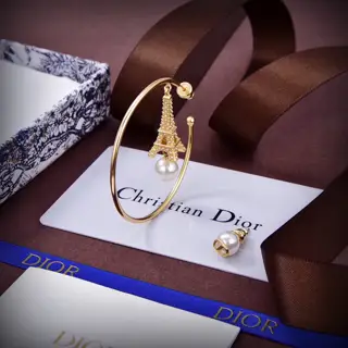 Dior new style Dior new letter earrings loved by top brands. The metal texture