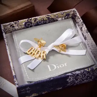 dior New DIOR Bee Asymmetrical Earrings