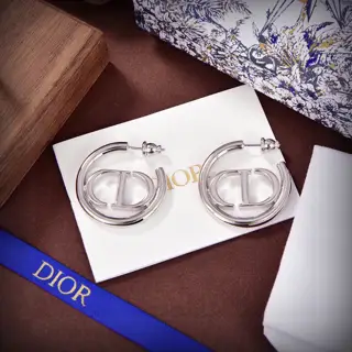 Dior new style Dior new letter earrings are loved by all the top brands. The metal texture