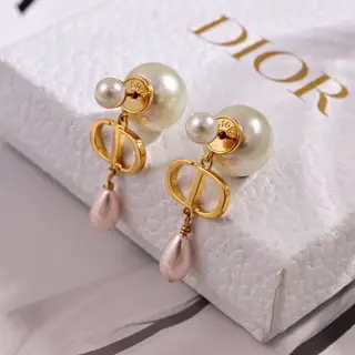 Dior new style Dior new letter earrings loved by top brands. The metal texture