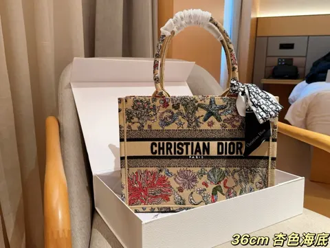 Dior Book Tote