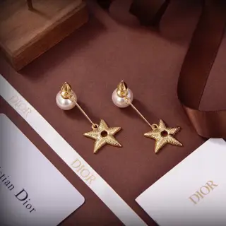 Dior new style Dior new five-pointed star earrings are loved by all the top brands. The