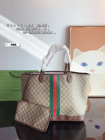 Gucci Bag