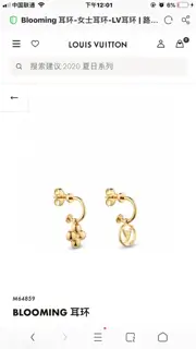 Louis Vuitton letter earrings