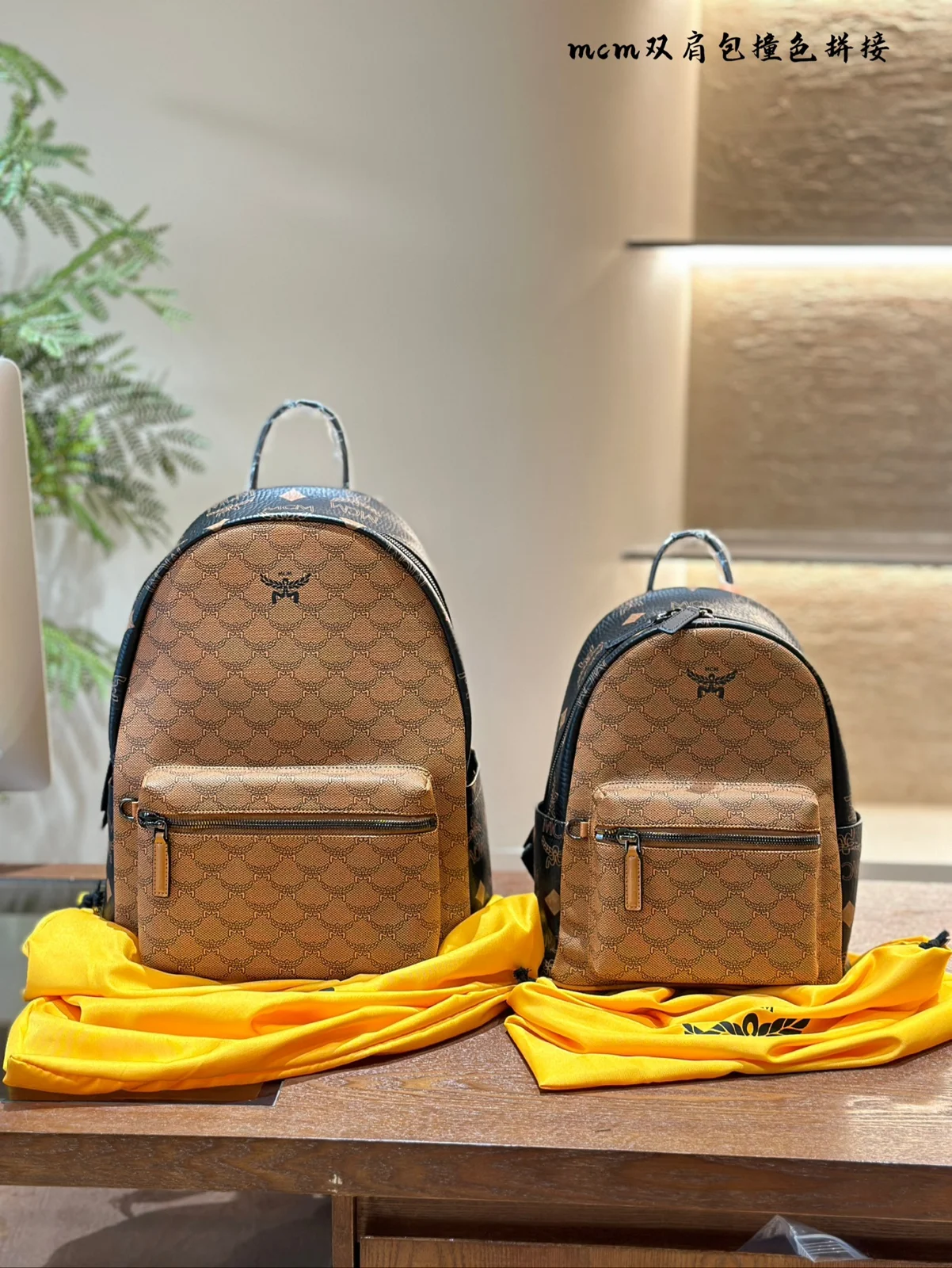 MCM Backpack