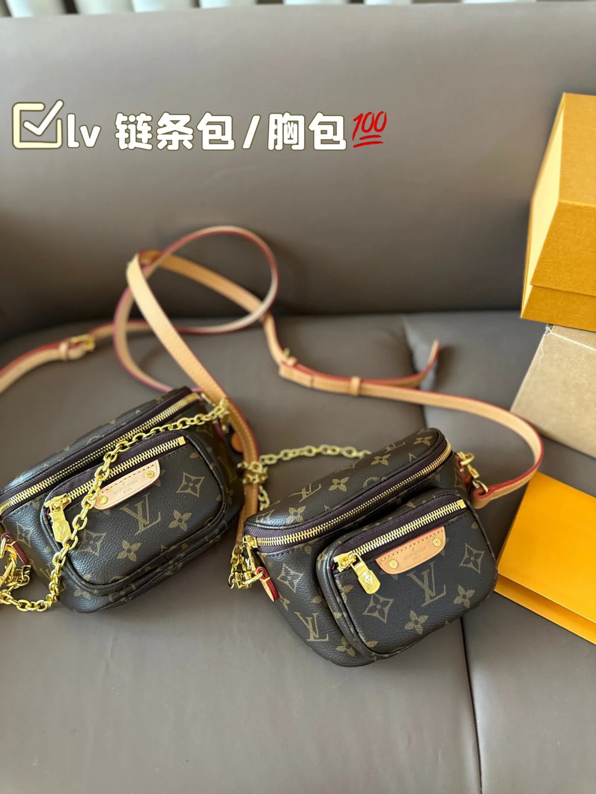 Louis Vuitton Bag