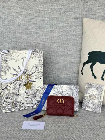 Dior Card Holder