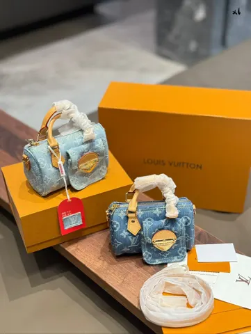 Louis Vuitton Speedy