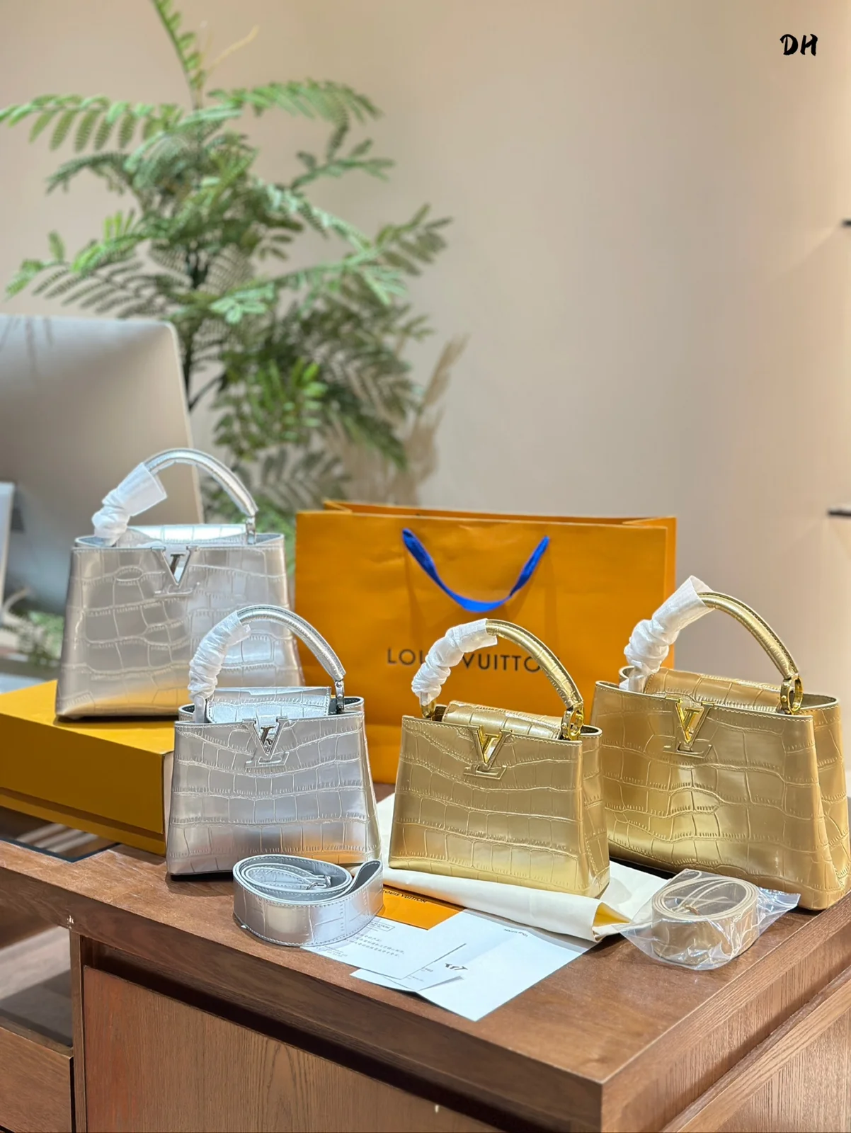 Louis Vuitton Bag