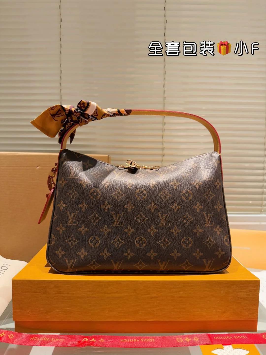 Louis Vuitton Bag