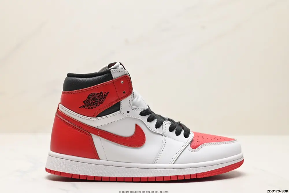 Nike AIR JORDAN 1 Sneakers DD9335-641