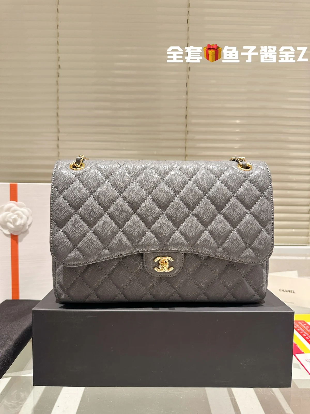 Chanel Bag