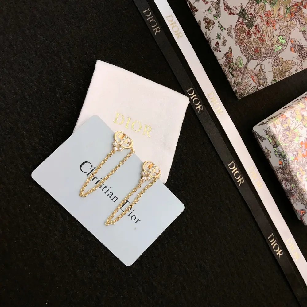 Dior new style earrings beautiful simple and elegant fashionable low-key and luxurious