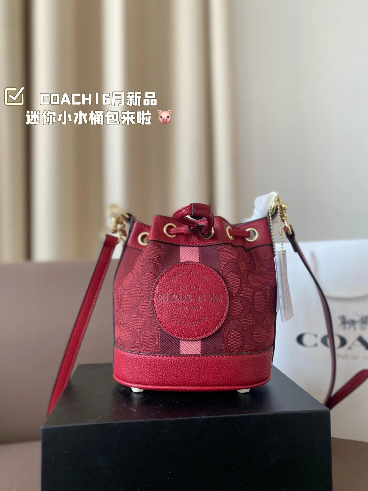 COACH Bucket Bag