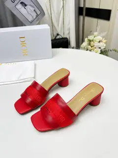 Dior slippers