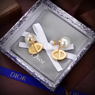 Dior 2024 new style Dior