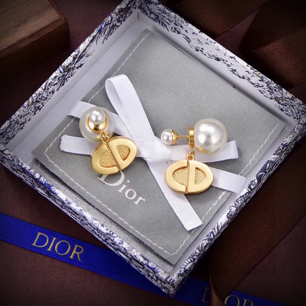 Dior 2024 new style Dior