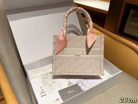 Dior Book Tote