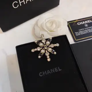 Chanel Brooch Earrings