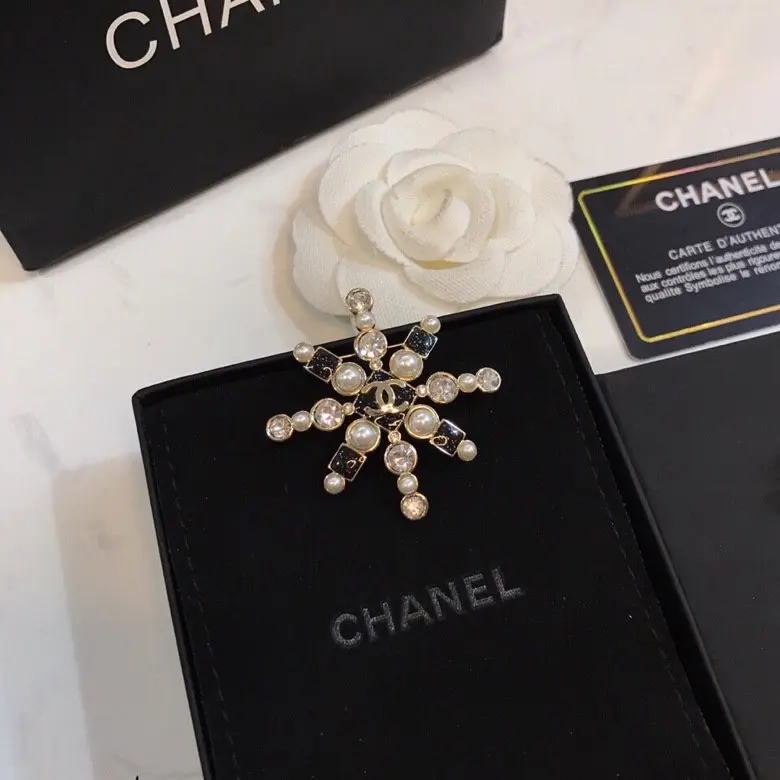 Chanel Brooch Earrings