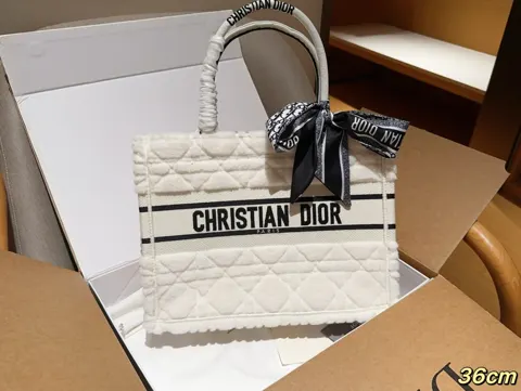 Dior Book Tote