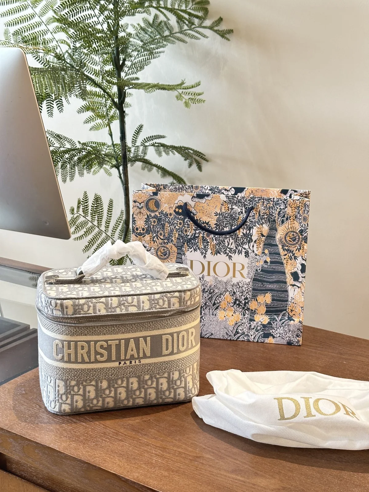 Dior Bag