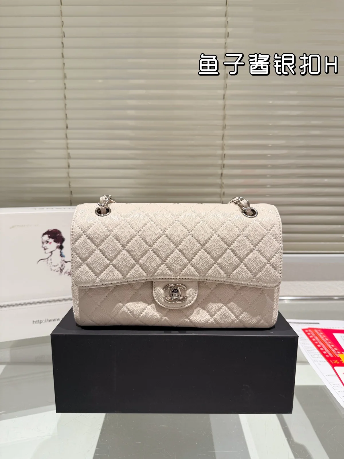 Chanel Bag