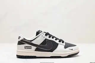 Nike SB Dunk Low Retro Dunk Series Retro Low-top Casual Sports Skateboard Shoes XX9914-014