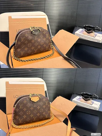 Louis Vuitton Bag