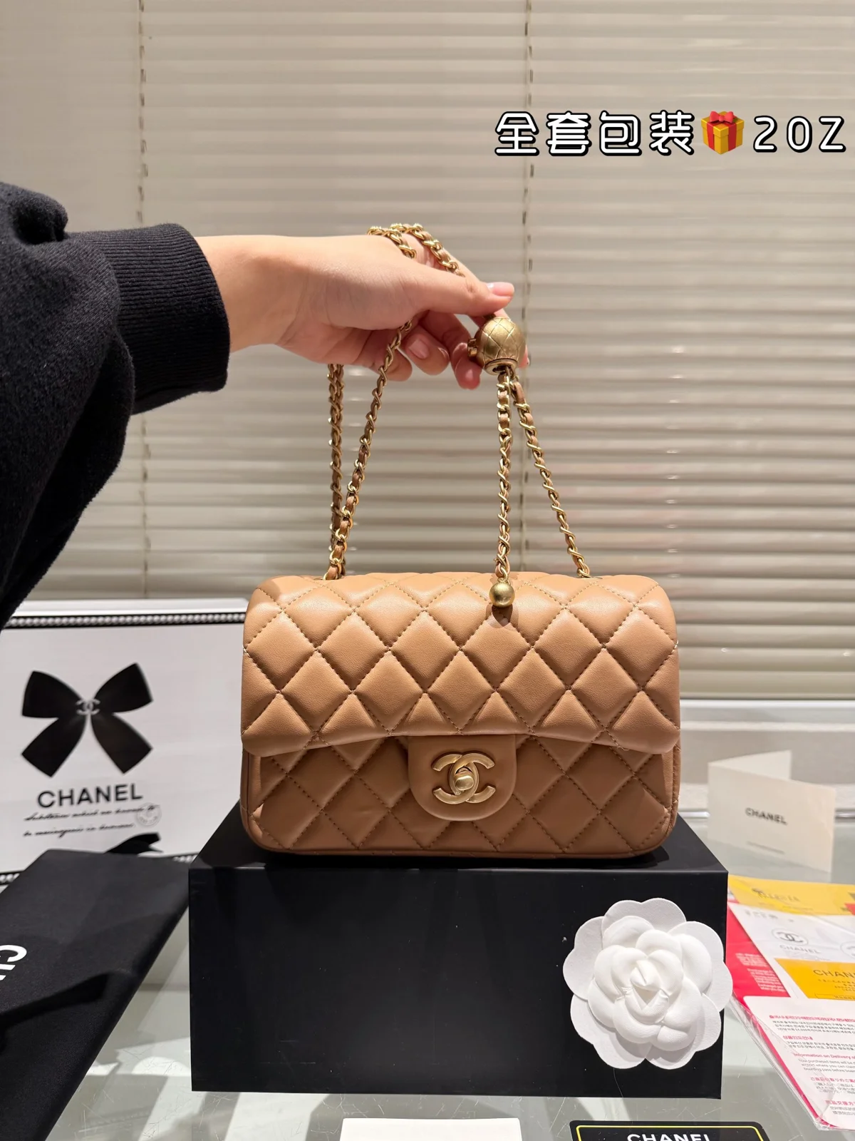 Chanel Bag