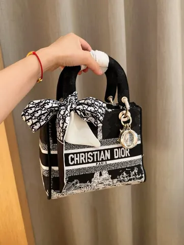 Dior Bag