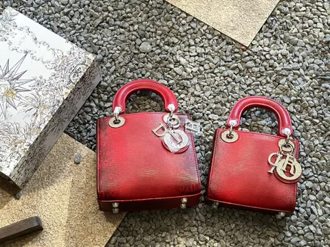 Dior Bag