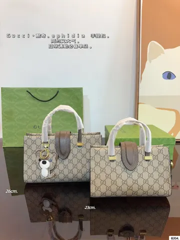 Gucci Bag