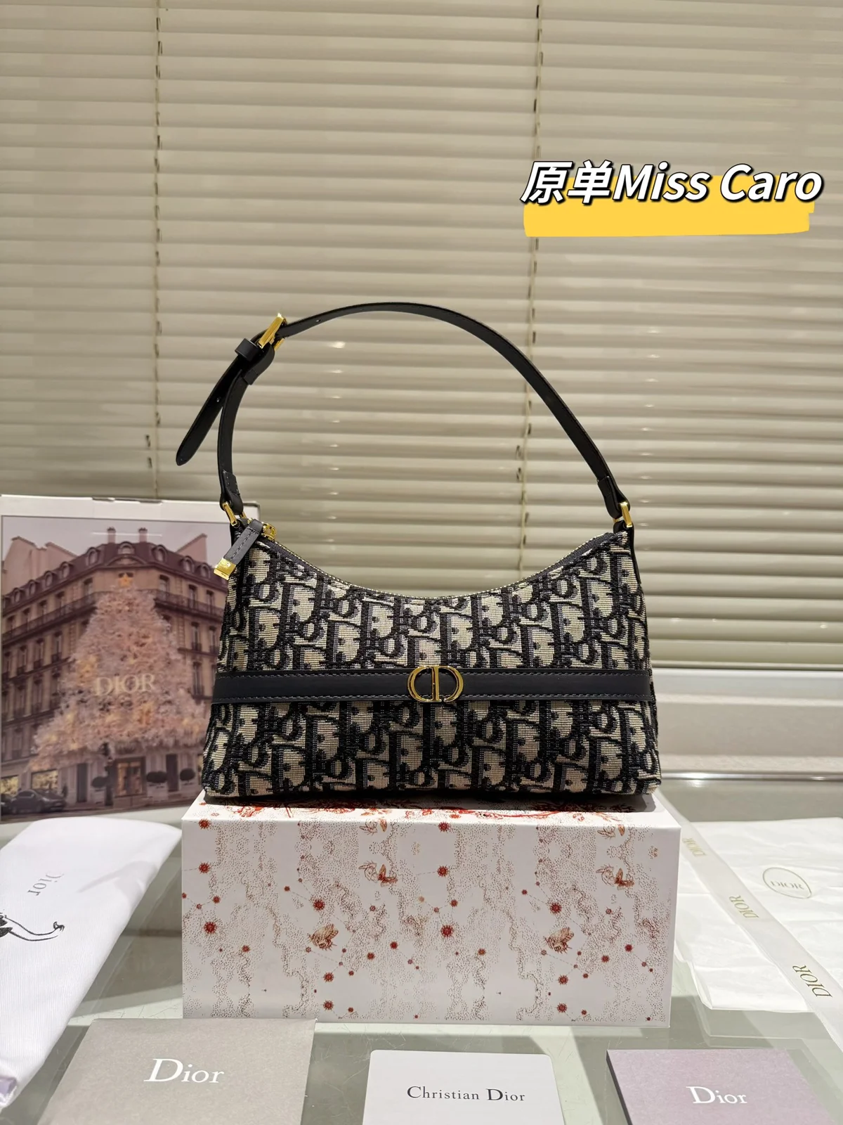 Dior Shoulder Bag