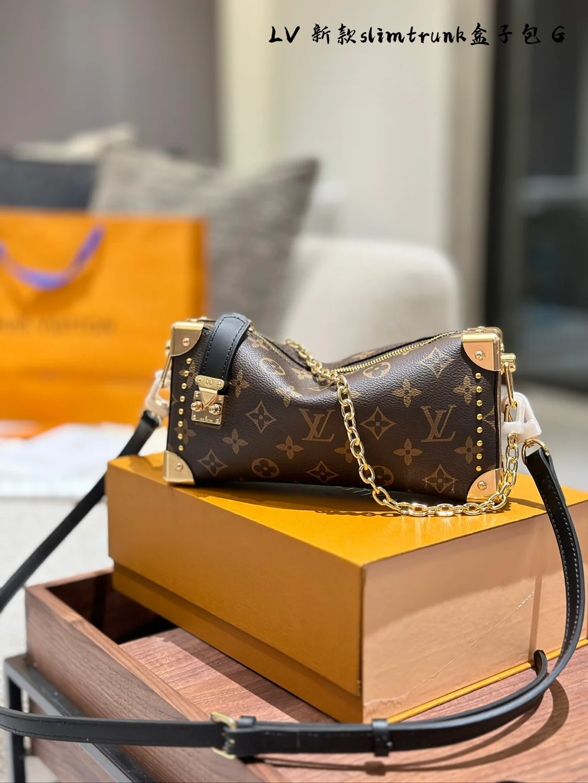 Louis Vuitton Bag